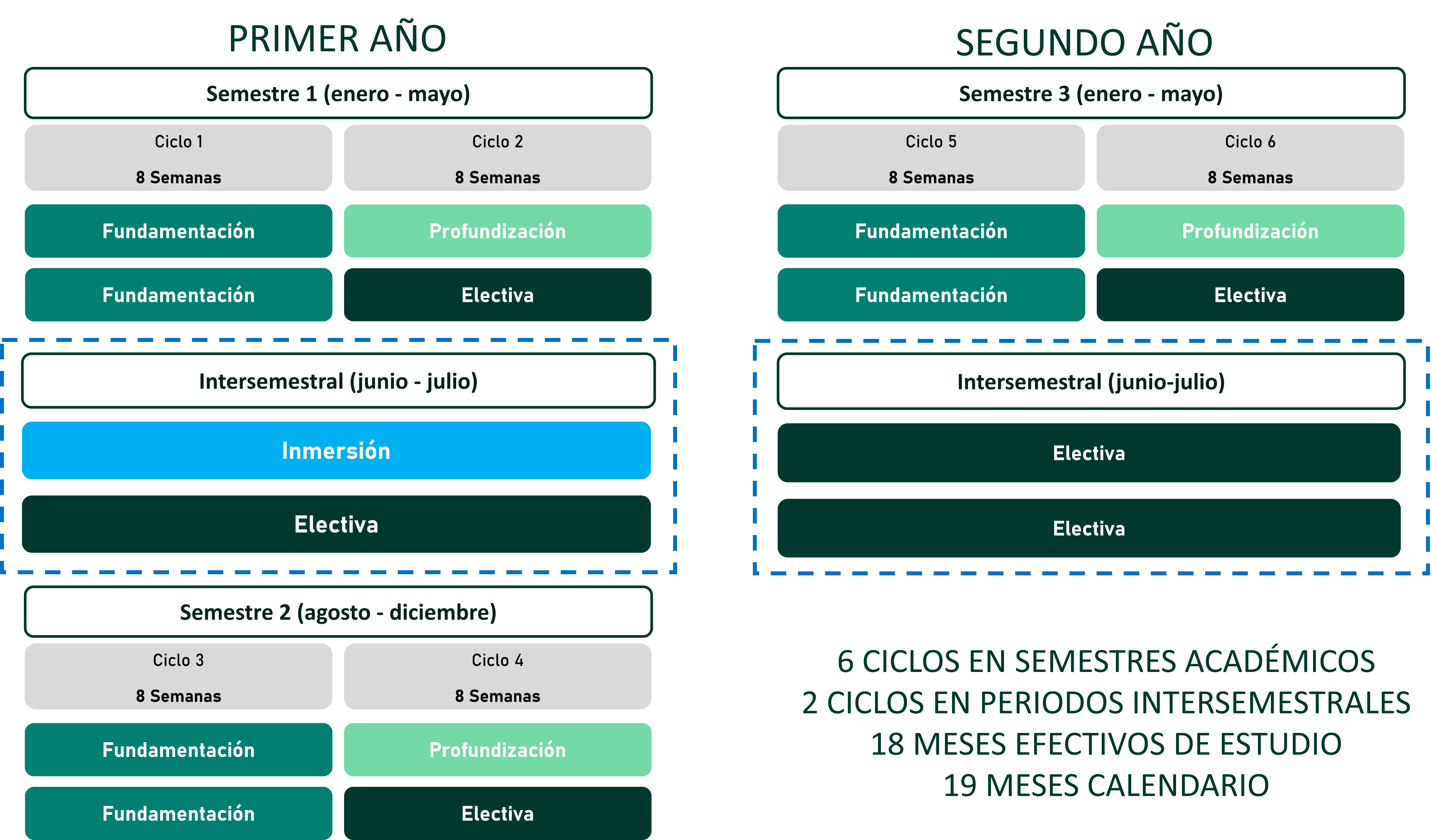 Plan de estudios MISE - Iniciando en Enero
