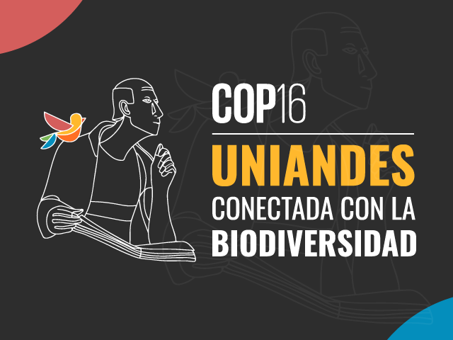 ¿La COP 16 terminó para Colombia? 