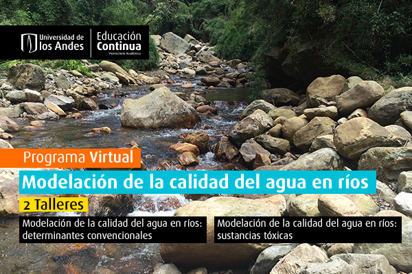 Curso - Modelación de la calidad del agua en ríos