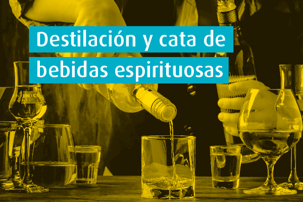 Seminario excelencia regulacion cannabis