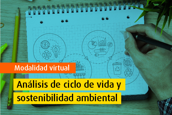 Curso virtual - Análisis de ciclo de vida y sostenibilidad ambiental