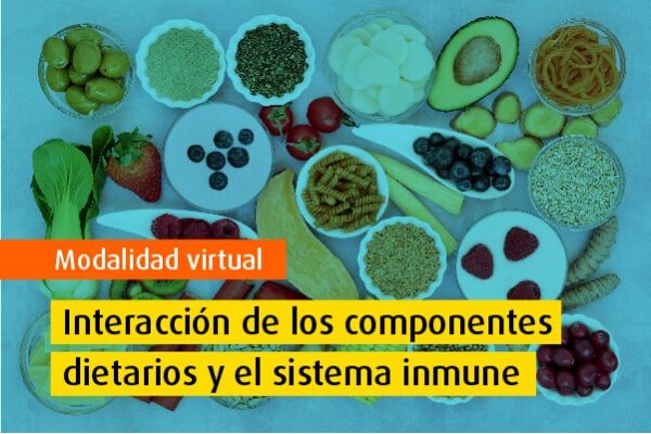 Seminario Virtual de Excelencia - Interacción de los componentes dietarios y el sistema inmune