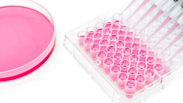 Curso Ensayos Biocompatibilidad Dispositivos Medicos