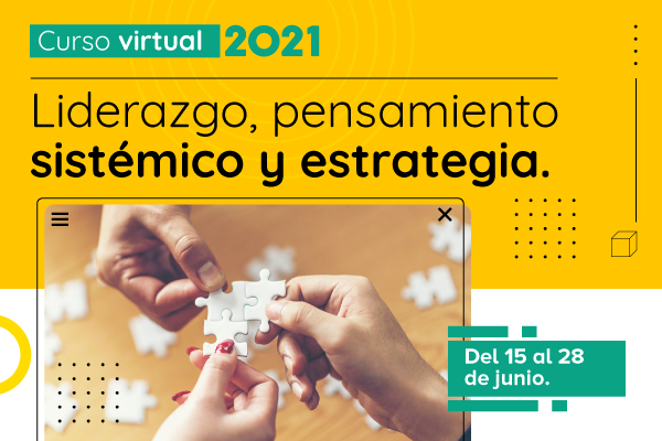 Curso virtual - Liderazgo, pensamiento sistémico y estrategia