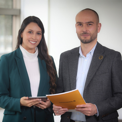 Maestría en gerencia de la Ingeniería (MGI)