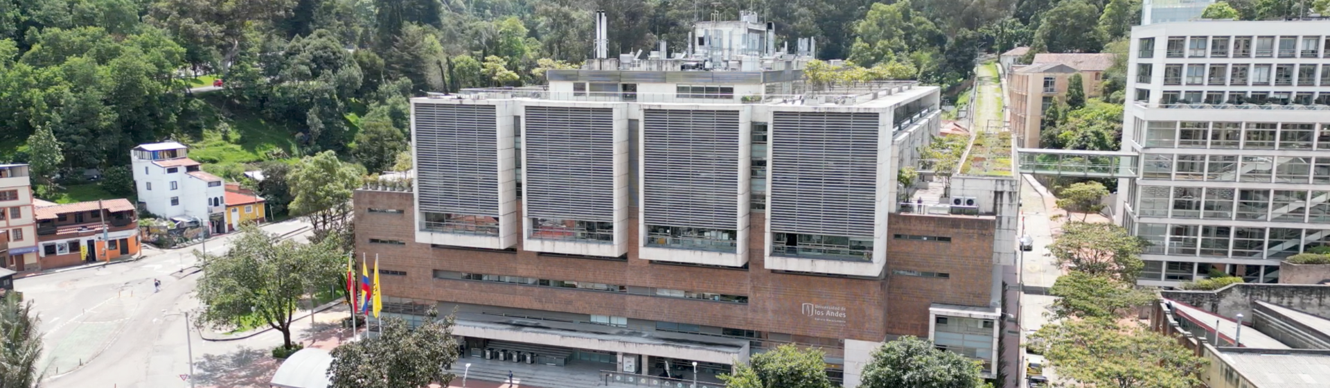 Órganos de gobierno de la facultad de ingeniería