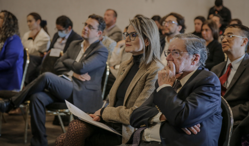 María Carolina Castillo, presidenta de Probogotá