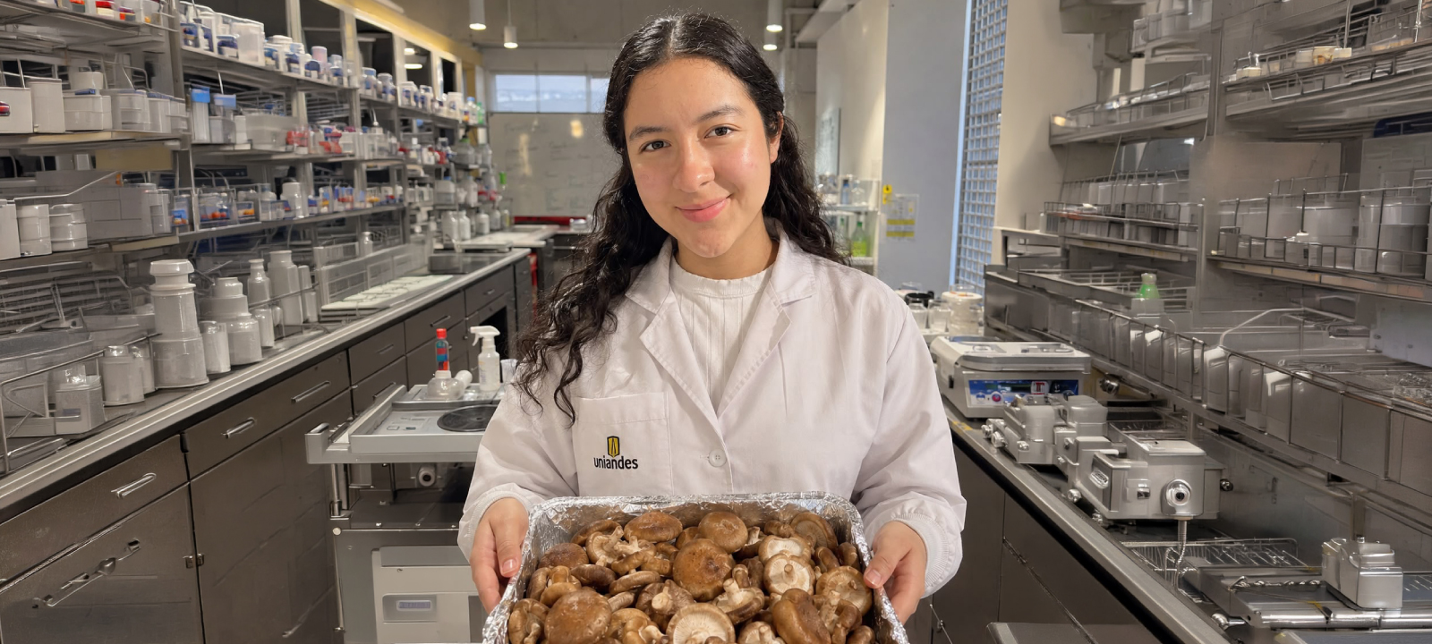 Del shiitake al snack: un hongo transformado con ingenio uniandino