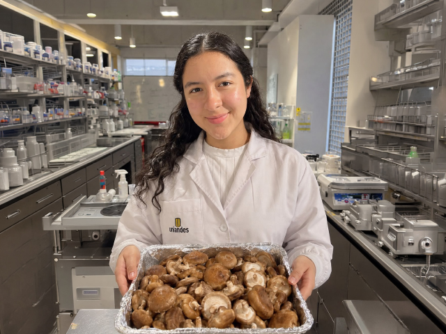 Del shiitake al snack: un hongo transformado con ingenio uniandino