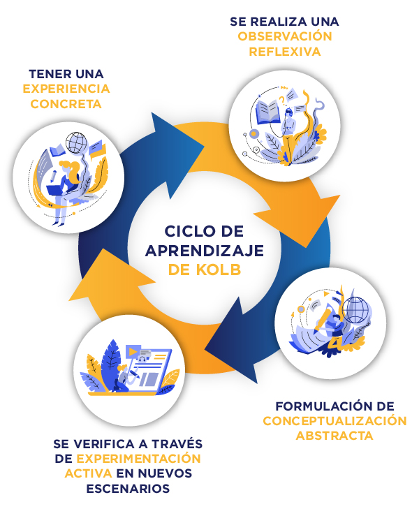 Ciclo de Kolb