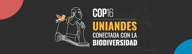 COP 16