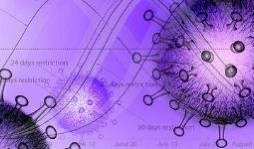 Modelamiento Covid de Ingeniería Biomédica 