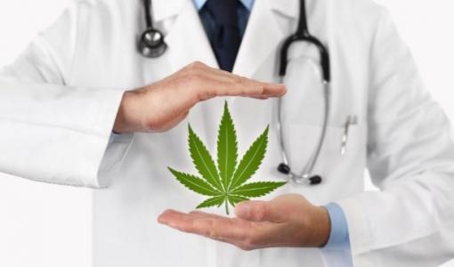 Curso virtual | Usos medicinales del cannabis